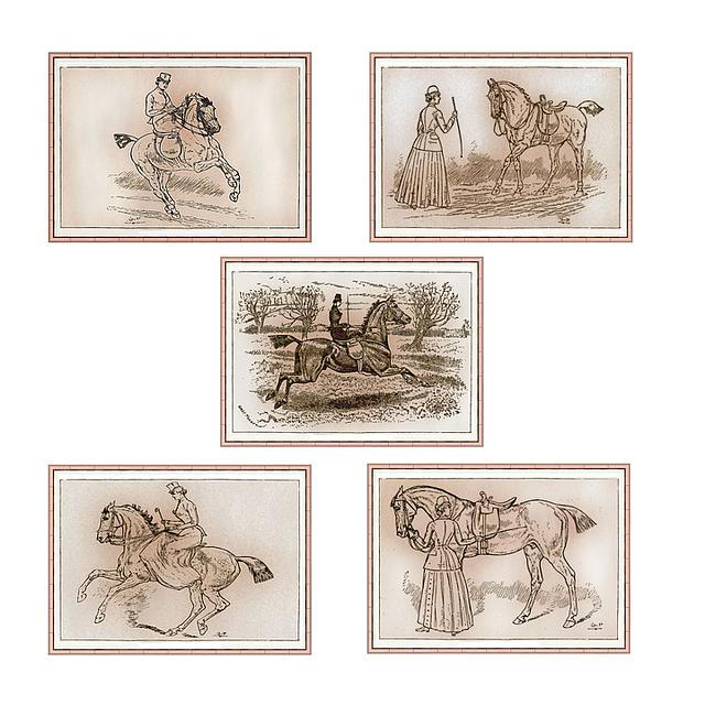 10. Taking Whip Riding to the Next Level: Advanced Techniques and Riding Challenges