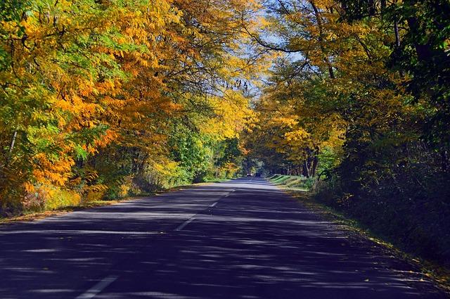 Choosing the Right Highway Bars for Your Motorcycle