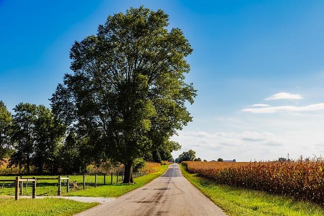 2. Demystifying Indiana's Motorcycle License Requirements: Who Needs One?