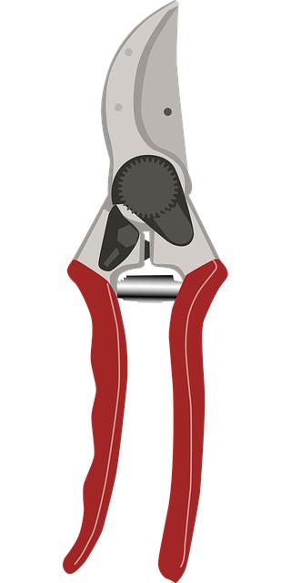 Why Bypassing the Kill Switch Can Be Risky